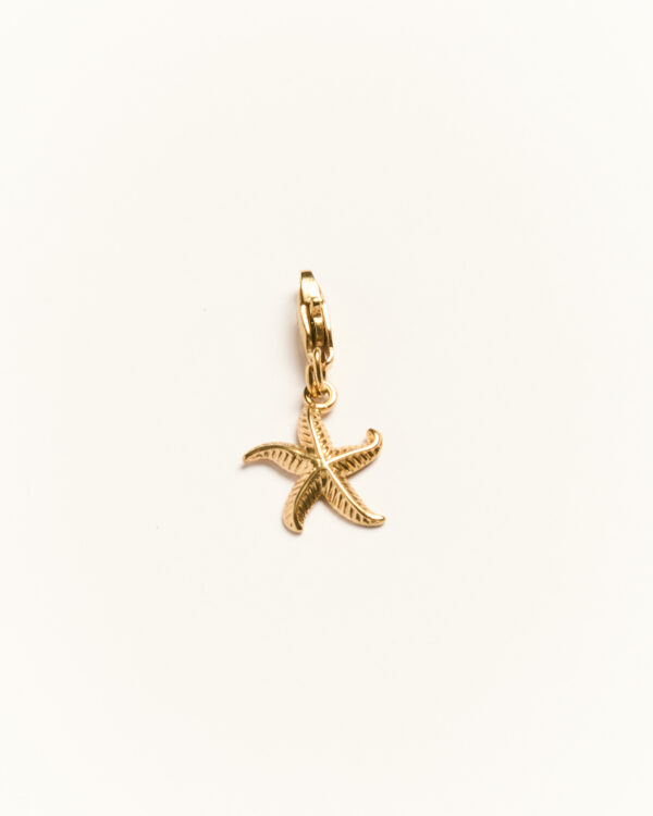 Charm Summer Treasures étoile de mer Palas