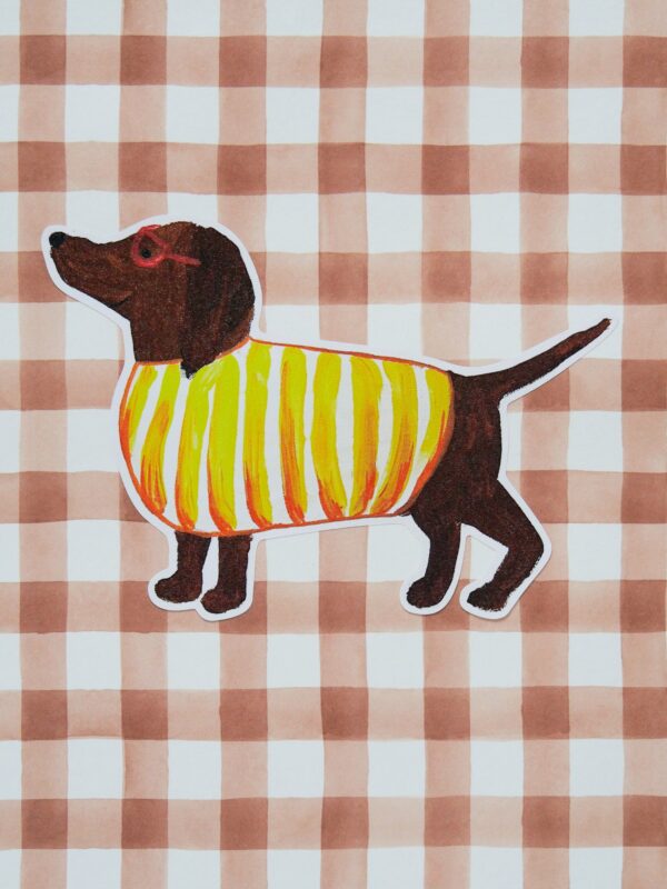 Chien Mimi Les frous-frous – Image 3